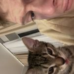 Рисунок профиля (Кирилл Мазницын)