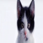 Рисунок профиля (Носовская Марина)