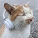 Рисунок профиля (Юлия Попова)