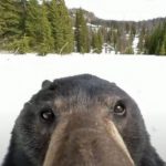 Рисунок профиля (Любовь Лепилина)